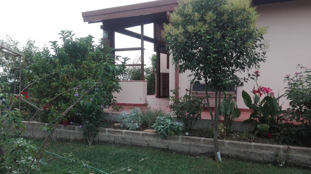 Agriturismo Collelungo Di Maremma Diaccialone Kültér fotó