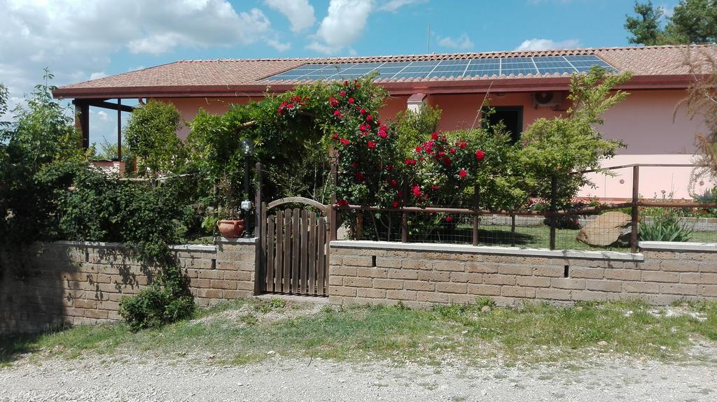 Agriturismo Collelungo Di Maremma Diaccialone Kültér fotó