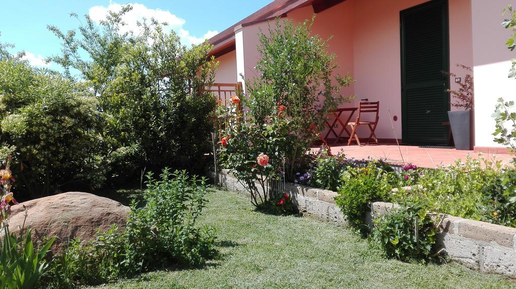 Agriturismo Collelungo Di Maremma Diaccialone Kültér fotó