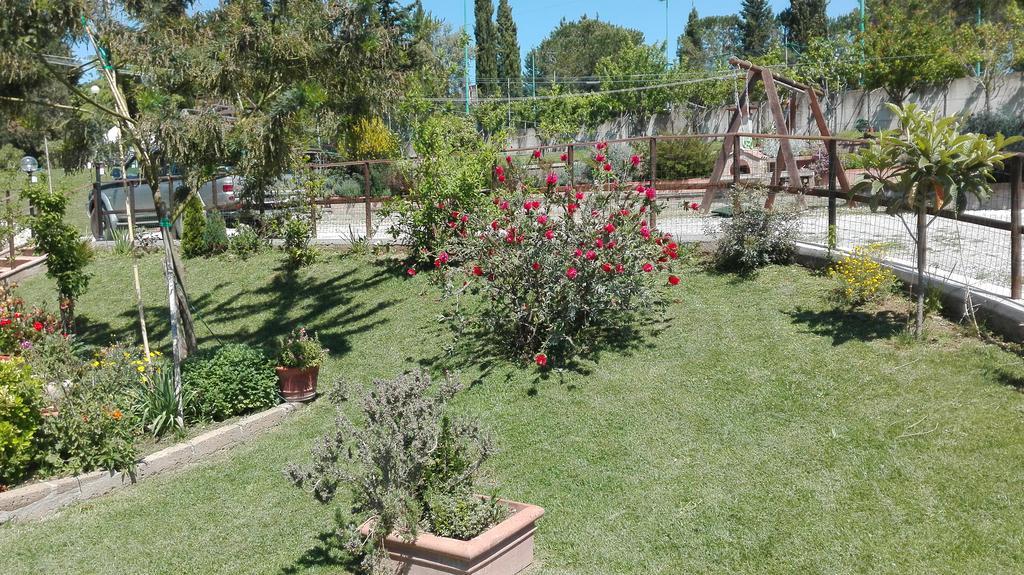 Agriturismo Collelungo Di Maremma Diaccialone Kültér fotó