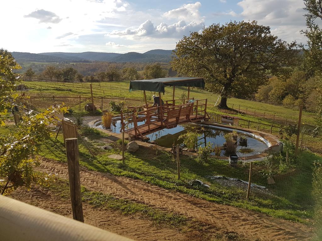 Agriturismo Collelungo Di Maremma Diaccialone Kültér fotó