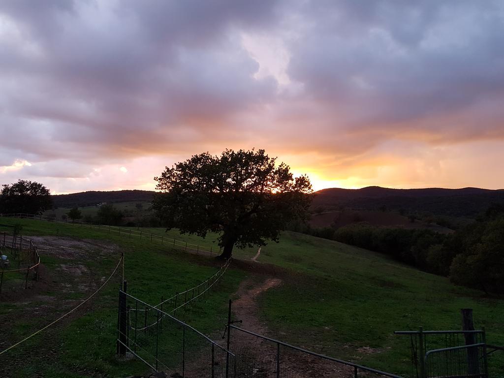 Agriturismo Collelungo Di Maremma Diaccialone Kültér fotó